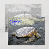 Carte Postale Hawaii - Honu (Devant / Derrière)