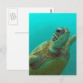 Carte Postale Hawaii Honu (Devant / Derrière)