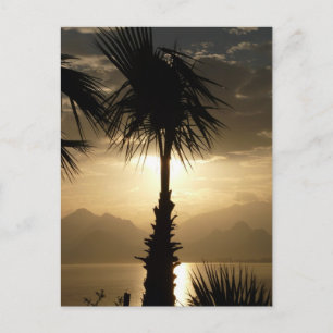 Carte Postale Hawaii Island Travel Beach Coucher de soleil Palmi