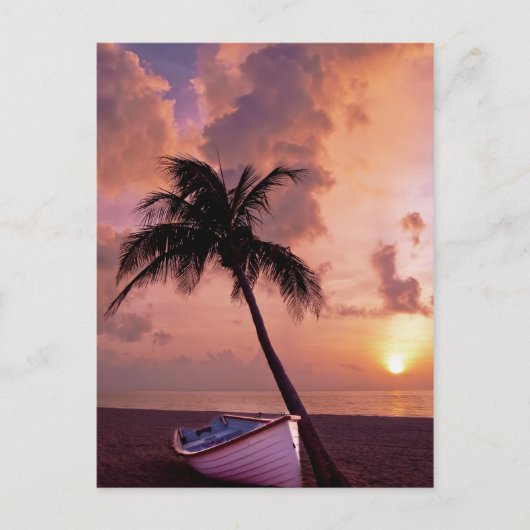 Carte Postale Hawaii Island Travel Beach Sunset Palm Tree Boat (Devant)