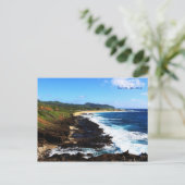 Carte Postale Hawaii Kai (Debout devant)