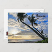 Carte postale Hawaii Palms (Devant / Derrière)