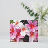 Carte postale Hawaii Pink Plumeria (Debout devant)