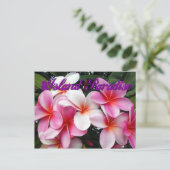 Carte postale Hawaii Pink Plumeria (Debout devant)