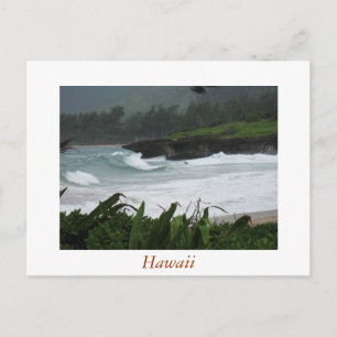 Carte Postale Hawaii Postcard 2