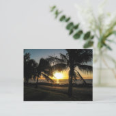 Carte Postale Hawaii Sunset Sharks Cove (Debout devant)