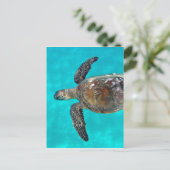 Carte Postale Hawaii Tortue Honu (Debout devant)