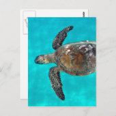 Carte Postale Hawaii Tortue Honu (Devant / Derrière)