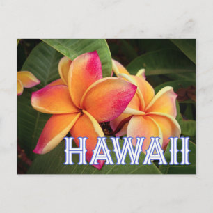 Carte postale Hawaii Travel