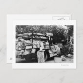 Carte Postale Hawaii - Vue d'un Wagon végétal autochtone (Devant / Derrière)