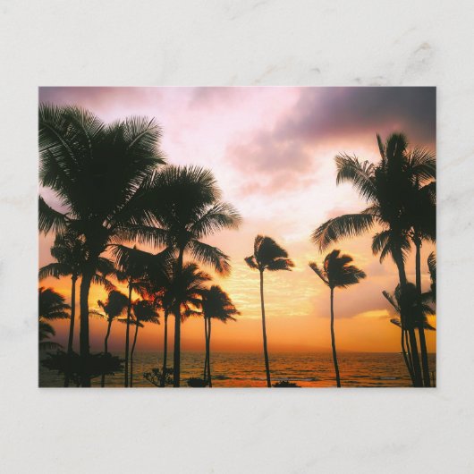 Carte Postale Hawaiian Beach Palm Trees Sunset - Hawaii Travel (Devant)