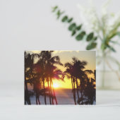 Carte Postale Hawaiian Exotic Beach Palm Trees coucher de soleil (Debout devant)