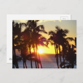 Carte Postale Hawaiian Exotic Beach Palm Trees coucher de soleil (Devant / Derrière)