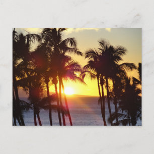 Carte Postale Hawaiian Exotic Beach Palm Trees coucher de soleil