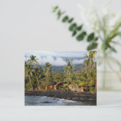 Carte Postale Hawaiian Getaway (Debout devant)