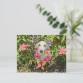Carte postale Hawaiian Myrtie (Debout devant)