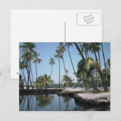 Carte Postale Hawaiian Oasis (Devant / Derrière)