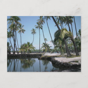 Carte Postale Hawaiian Oasis