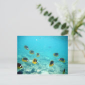 Carte postale Hawaiian Ocean Scene (Debout devant)
