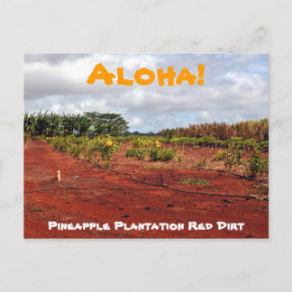 Carte postale Hawaiian Pineappy Plantation