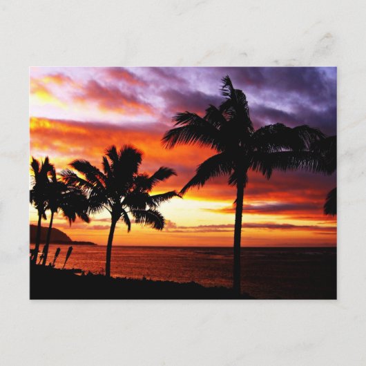 Carte postale Hawaiian Sunset (Devant)