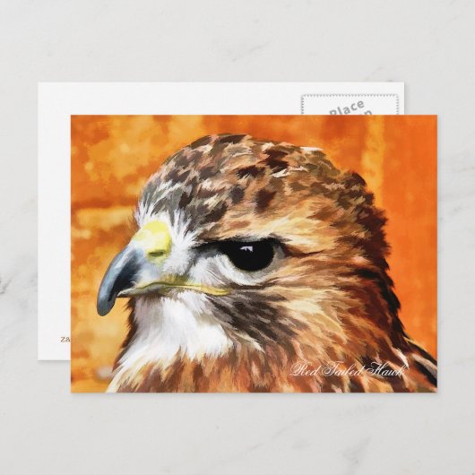 CARTE POSTALE HAWK (Devant / Derrière)