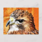 CARTE POSTALE HAWK (Devant)