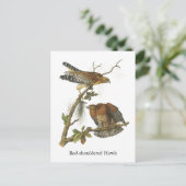 Carte Postale Hawk à épaulettes, John Audubon (Debout devant)