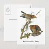 Carte Postale Hawk à épaulettes, John Audubon (Devant / Derrière)