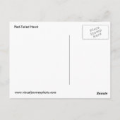 Carte postale Hawk à queue rouge (Dos)