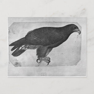 Carte Postale Hawk, de l'album The Vallardi