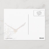 Carte Postale Hawk en vol (Dos)