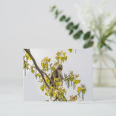Carte Postale Hawk Et Coeurs (Debout devant)