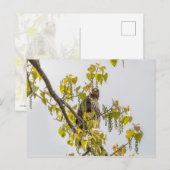 Carte Postale Hawk Et Coeurs (Devant / Derrière)
