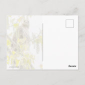 Carte Postale Hawk Et Coeurs (Dos)