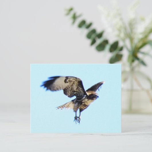 Carte Postale Hawk rouge à Flight Custom (Debout devant)