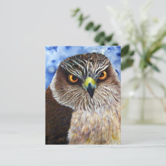 Carte Postale Hawkeyes (Debout devant)