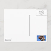 Carte Postale Hawkeyes (Dos)