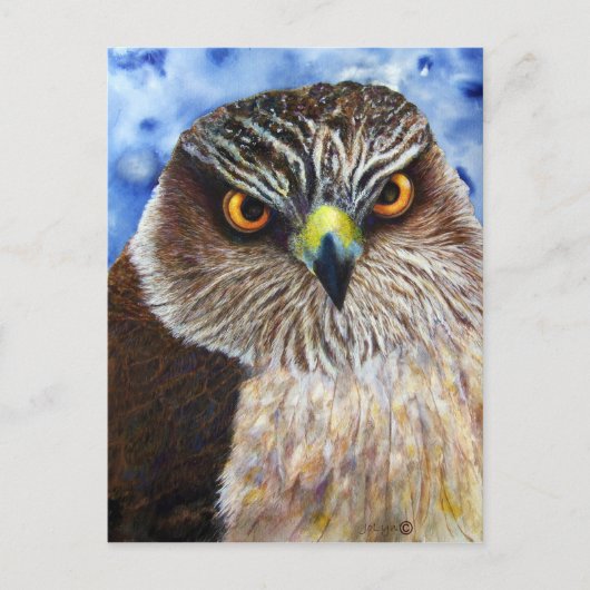 Carte Postale Hawkeyes (Devant)