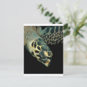 Carte Postale Hawksbill Angel (Debout devant)