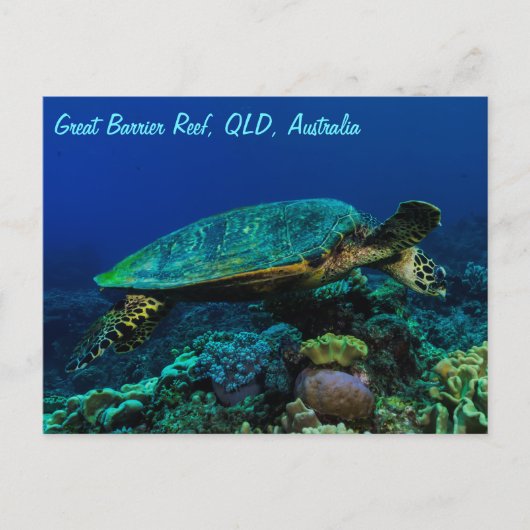 Carte postale Hawksbill Sea Turtle (Devant)