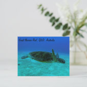 Carte postale Hawksbill Sea Turtle (Debout devant)