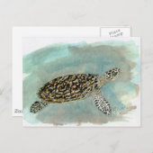 Carte postale Hawksbill Sea Turtle (Devant / Derrière)