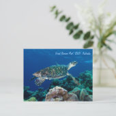 Carte postale Hawksbill Sea Turtle (Debout devant)