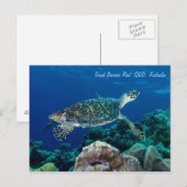 Carte postale Hawksbill Sea Turtle (Devant / Derrière)