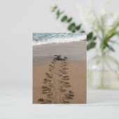 Carte postale Hawksbill Turtle Trek (Debout devant)