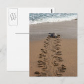 Carte postale Hawksbill Turtle Trek (Devant / Derrière)