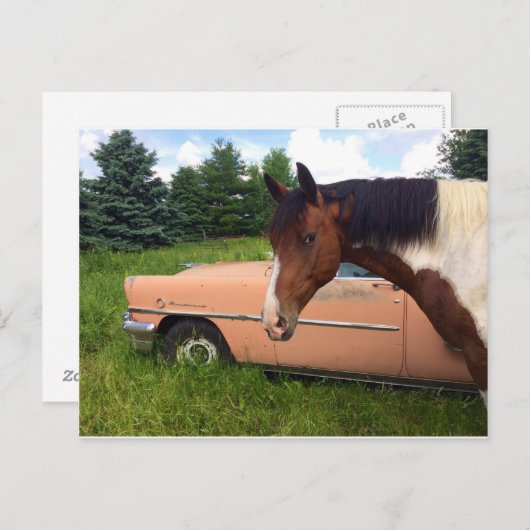 Carte Postale Hay ! (Devant / Derrière)