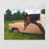 Carte Postale Hay ! (Devant)