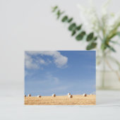 Carte Postale Hay Bales on Field (Debout devant)